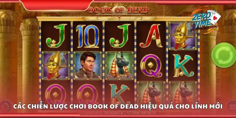Chiến lược chơi Book of Dead hiệu quả cho lính mới